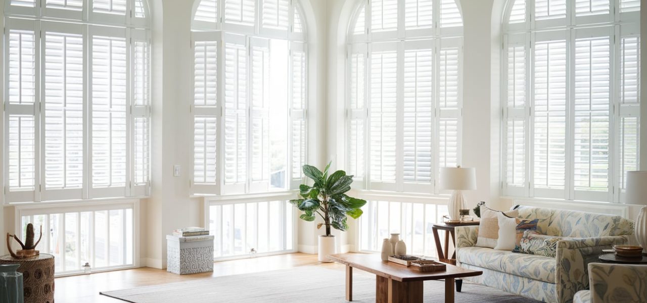 yQ6-OMozQQuE1GvS7tDseQ